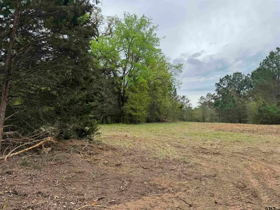 TBD CR 2147, Troup, TX 75789 - Image #3