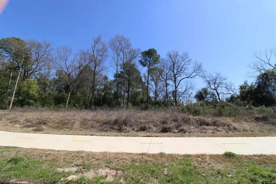 1102 S Peach Ave, Tyler, TX 75701 - Image #2