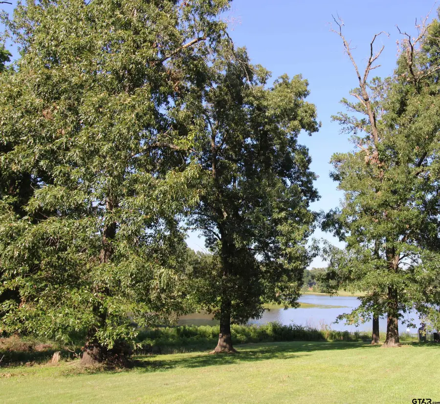 14484 Garden Valley Dr, Lindale, TX 75771 - #3