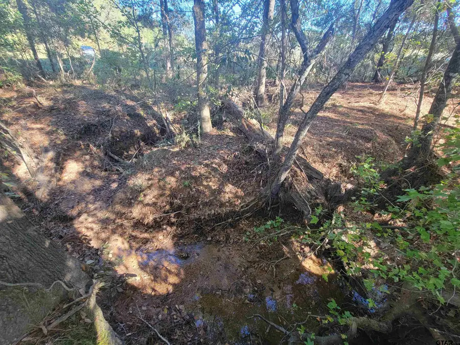 Tract 3 CR 2322, Rusk, TX 75785 - Image #2