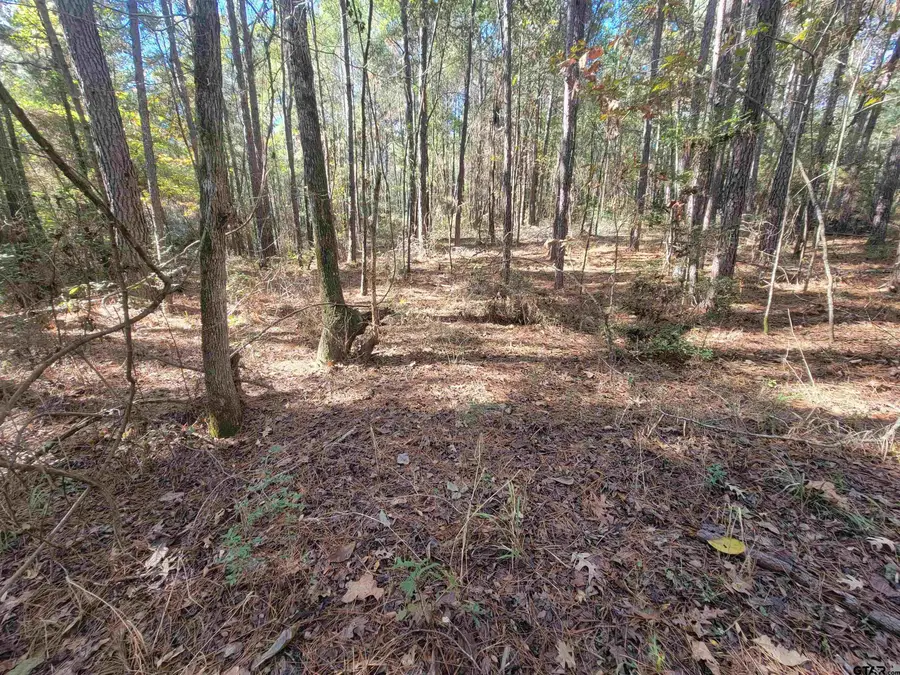 Tract 3 CR 2322, Rusk, TX 75785 - Image #3