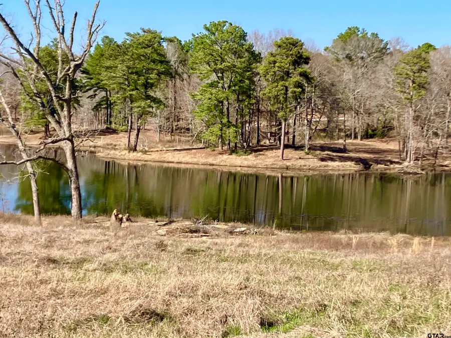 Lot 64 White Oak Creek Ranch, Big Sandy, TX 75755 - Image #2