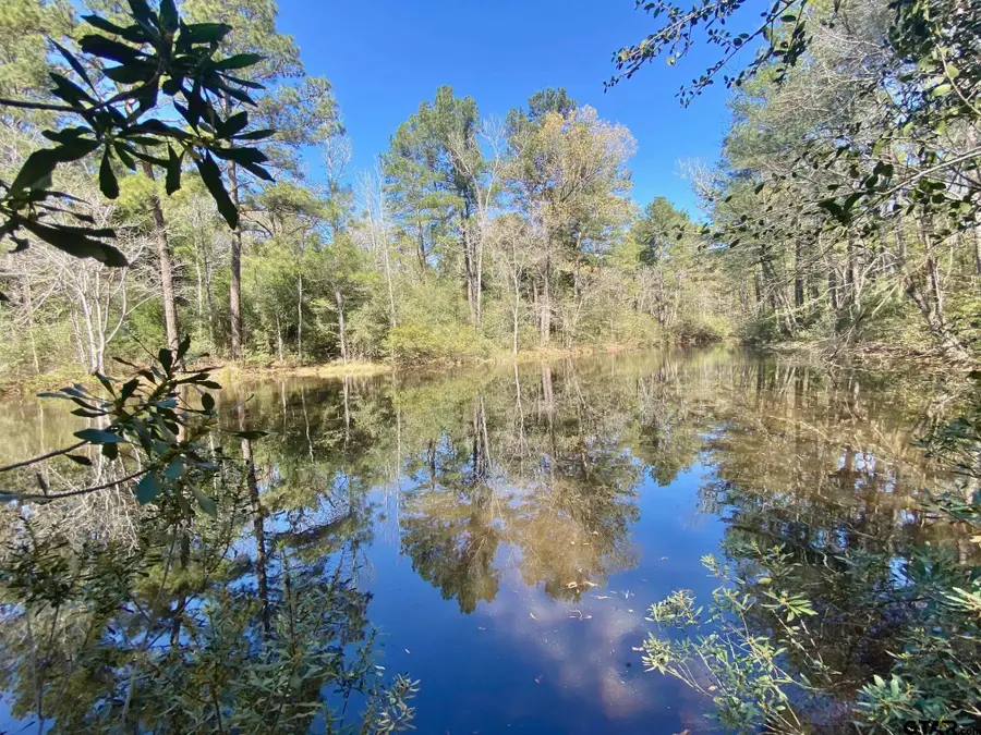 TBD CR 2130, Crockett, TX 75835 - Image #2