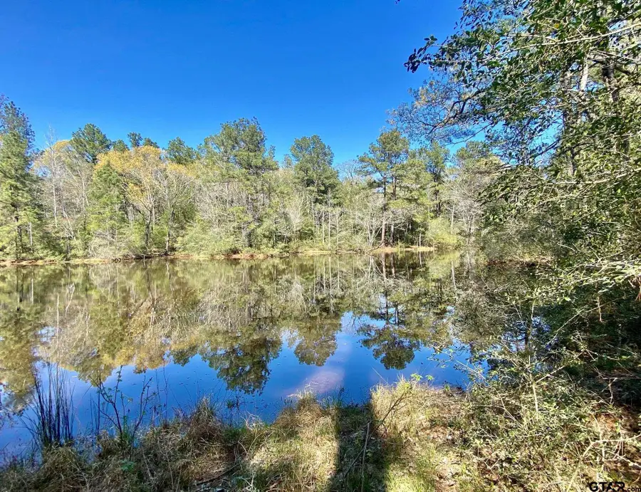 TBD CR 2130, Crockett, TX 75835 - Image #3