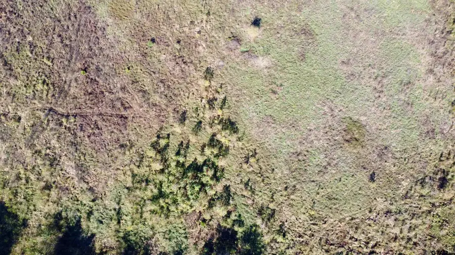 TBD CR 4325 (Tract 1), Omaha, TX 75571 - Image #2