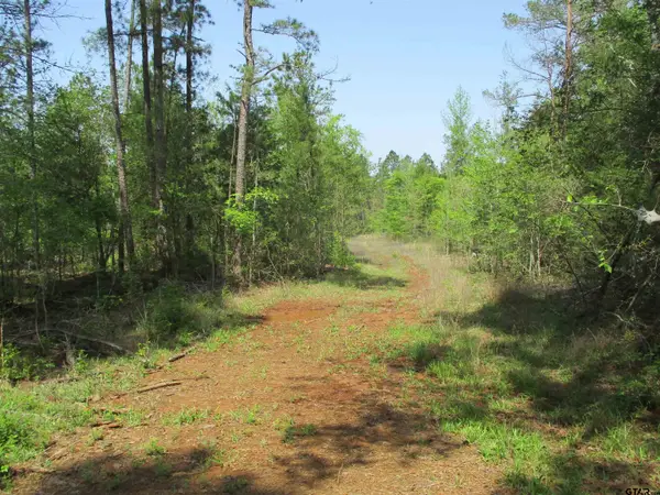 0000 S CR 461, Laneville, TX 75667