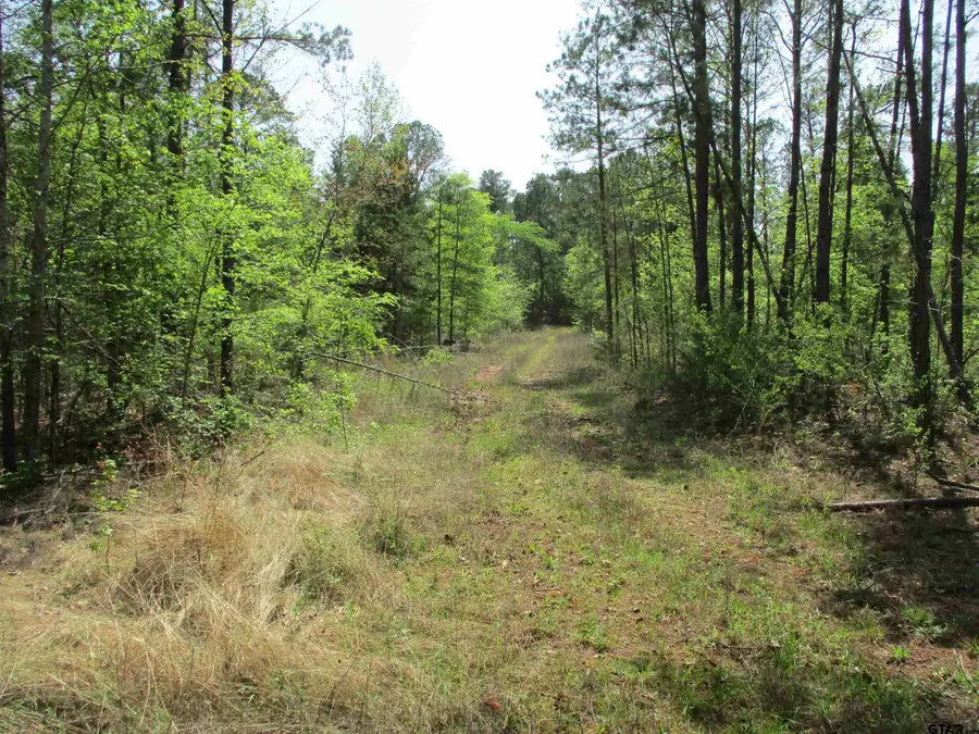 0000 S CR 461, Laneville, TX 75667 - Image #3