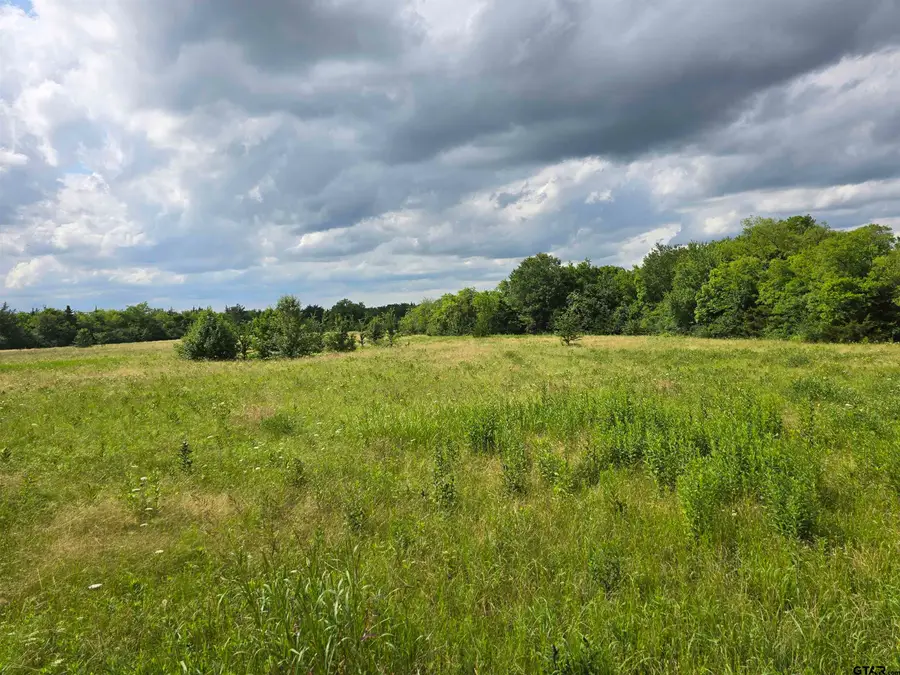 lake St, Mount Vernon, TX 75457 - Image #2