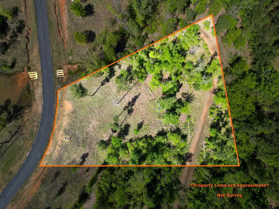 LT 53 Marble Way, Hallsville, TX 75650 - #2