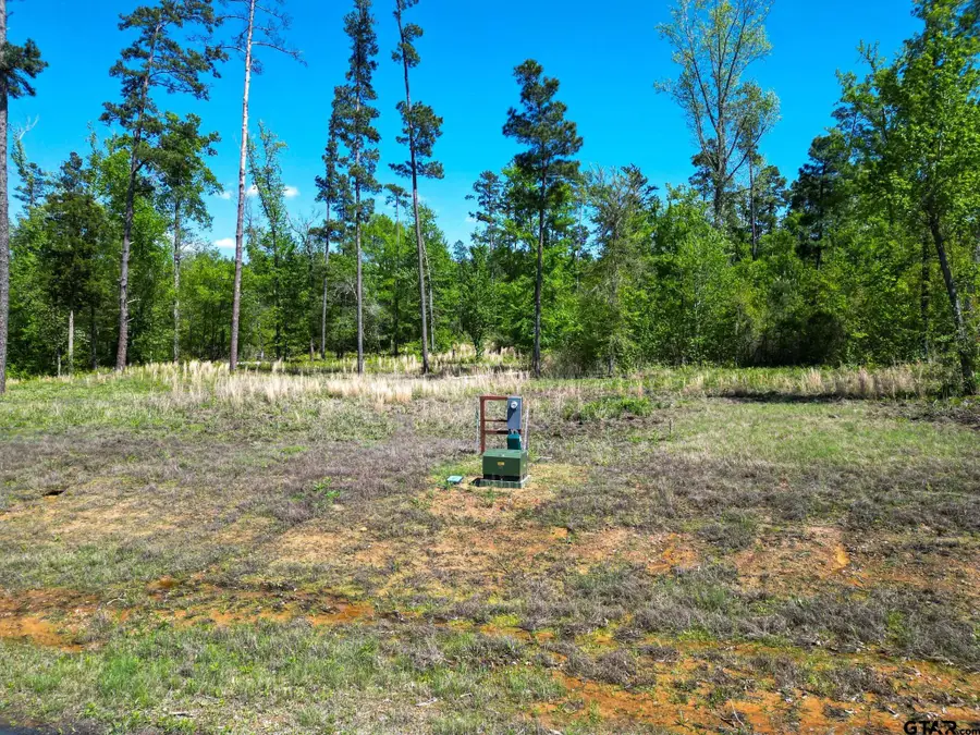 LT 53 Marble Way, Hallsville, TX 75650 - Image #2