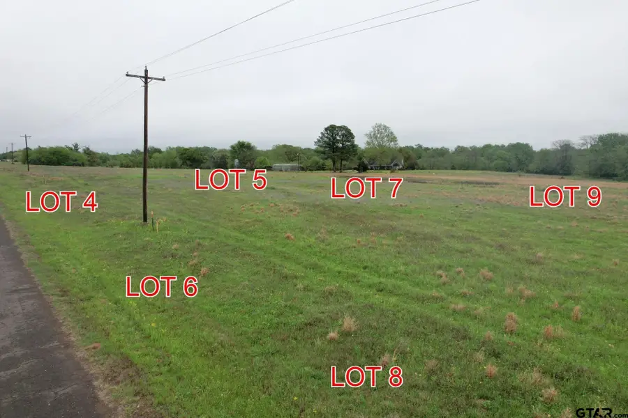 Lot 7 County Road 4286, Winnsboro, TX 75494 - Image #3