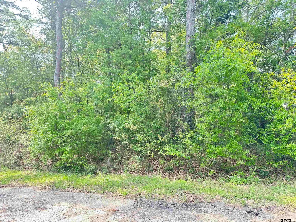 Lot 9 Three Points Estate, Frankston, TX 75763 - Image #1