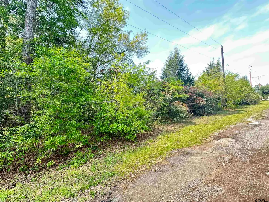 Lot 9 Three Points Estate, Frankston, TX 75763 - Image #2