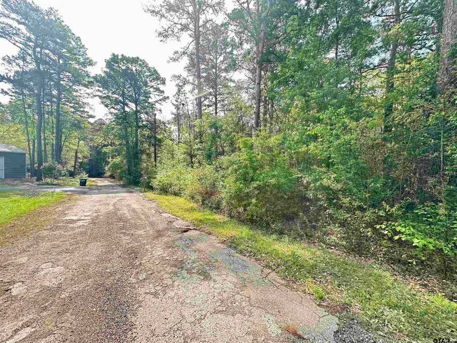 Lot 9 Three Points Estate, Frankston, TX 75763 - Image #3