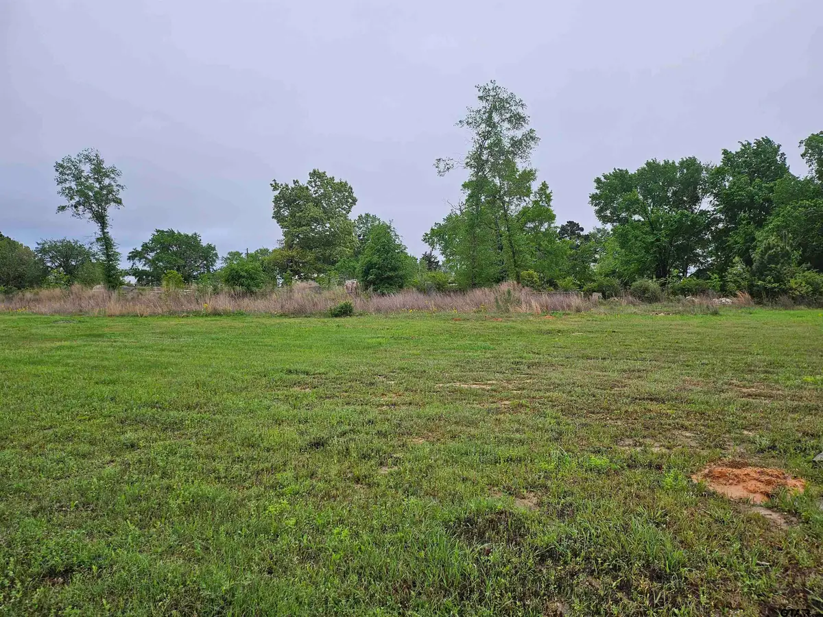 422 Deer Point Cove, Chandler, TX 75758 - Image #1