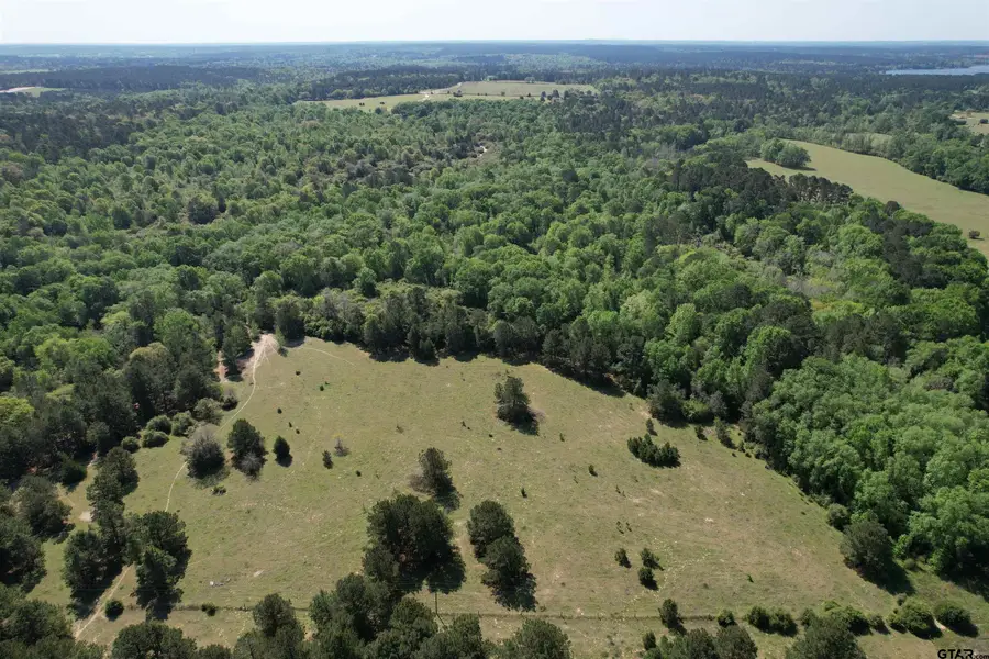 2954 CR 2170, Grapeland, TX 75844 - #3