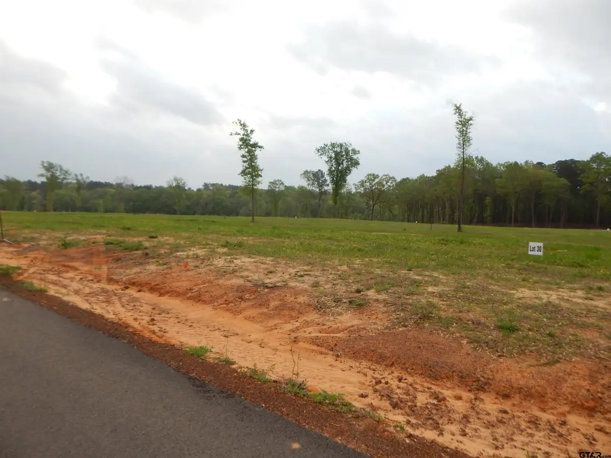160 INDIAN ROCK LOT 30, Gilmer, TX 75645 - Image #1