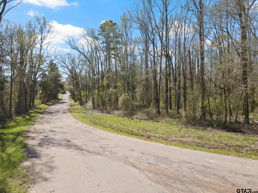 Lot 1 & 2 CR 4365, Mount Pleasant, TX 75455 - Image #2