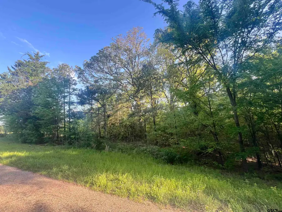 TBD CR 1755, Mount Pleasant, TX 75455 - Image #3