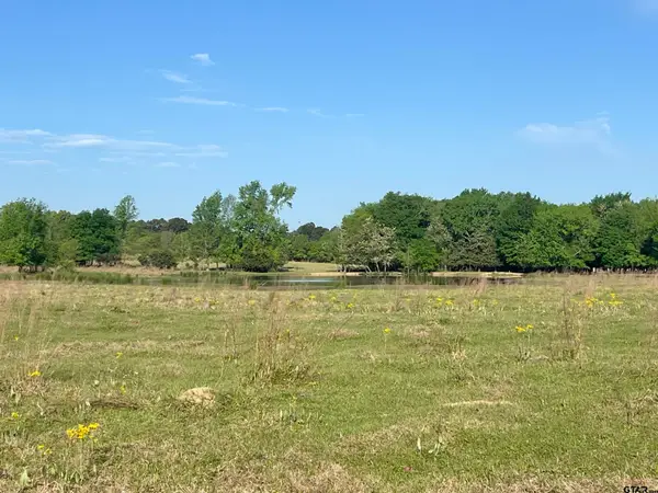 TBD FM 1402, Mt Pleasant, TX 75455