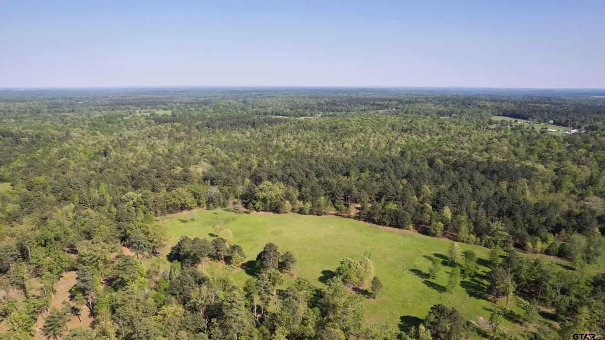 TBD Fm 852, Winnsboro, TX 75494 - #1