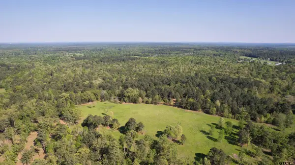 TBD Fm 852, Winnsboro, TX 75494