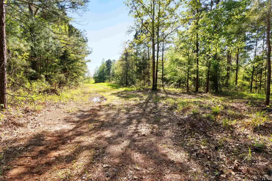 TBD Fm 852, Winnsboro, TX 75494 - #2