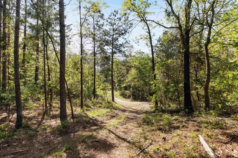TBD Fm 852, Winnsboro, TX 75494 - #3