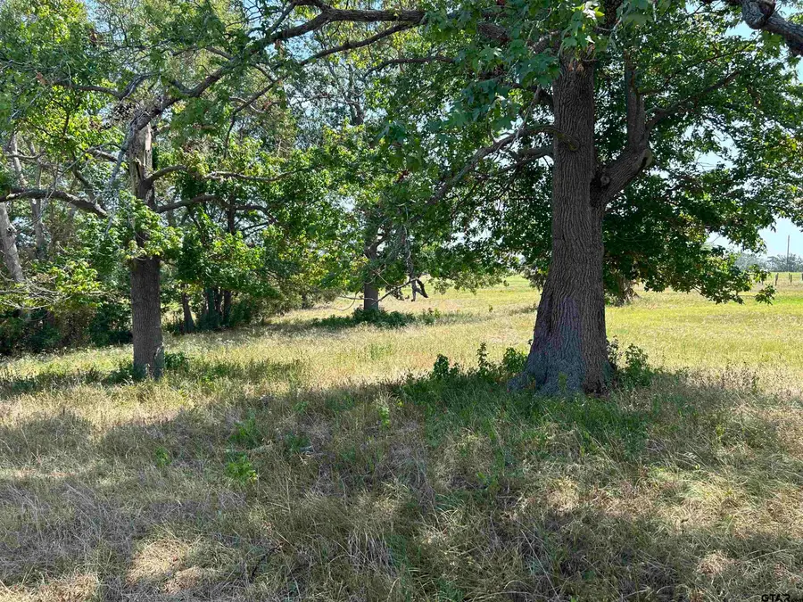 LOT 8 5.5ACRES COUNTY ROAD 2166, Troup, TX 75789 - Image #2