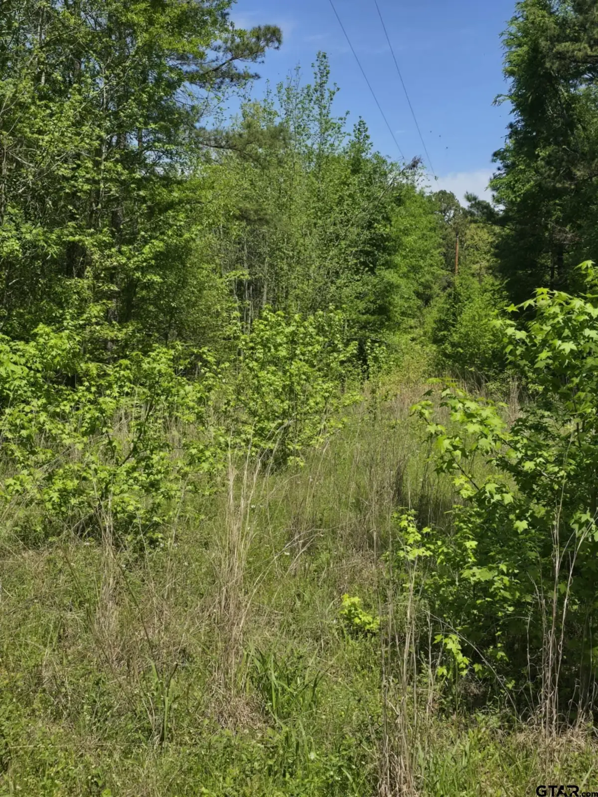 TBD C R 421, Tyler, TX 75706 - Image #1