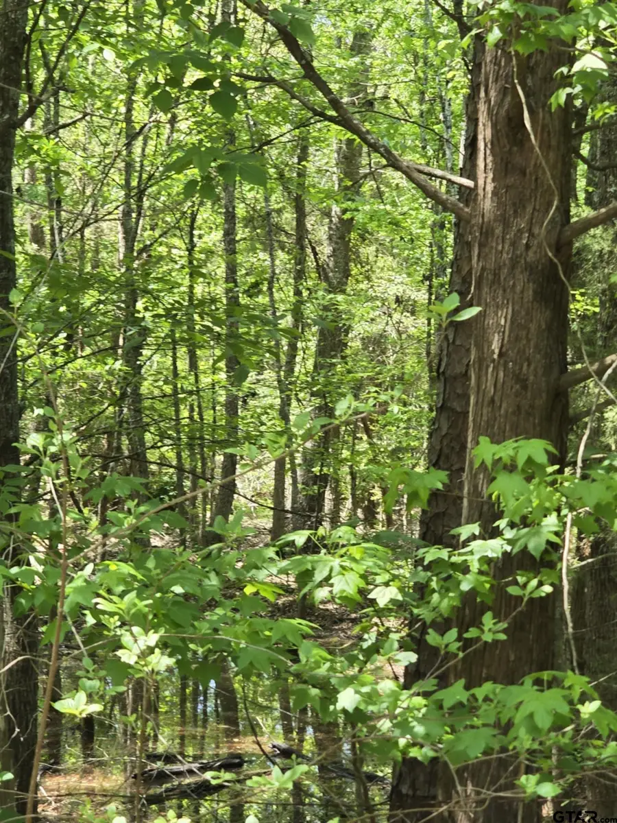 TBD C R 421, Tyler, TX 75706 - Image #2