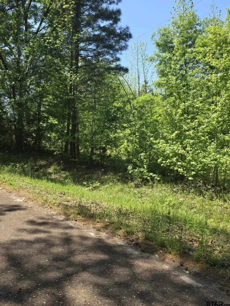 TBD C R 421, Tyler, TX 75706 - Image #3