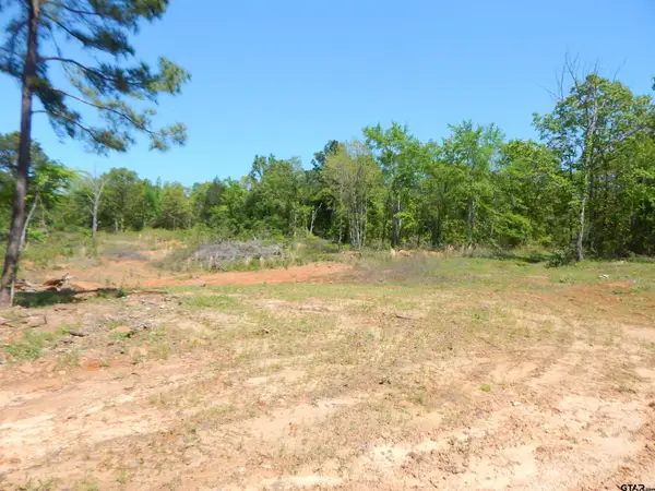 TBD 15 ACRES FM 1795 SIDE 2, Big Sandy, TX 75755