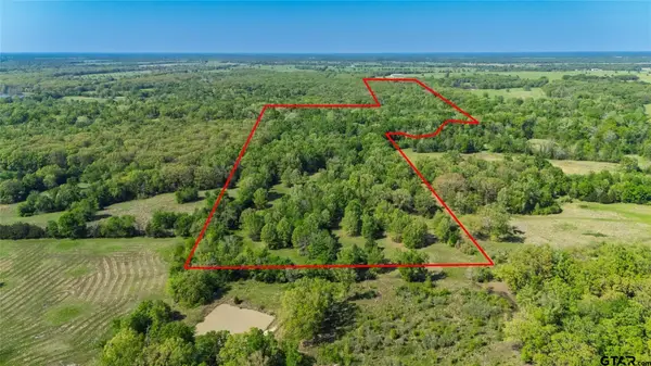 156 Acres N FM 900, Sulphur Bluff, TX 75481