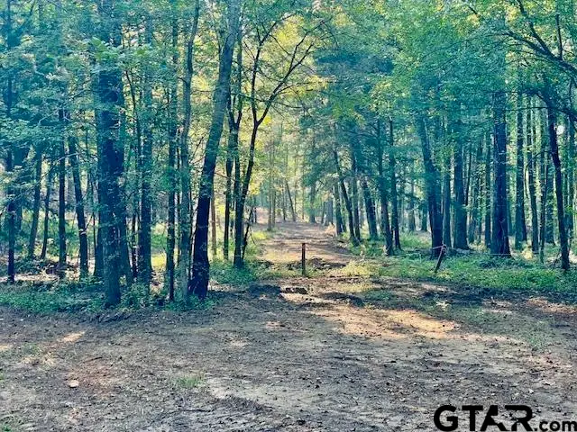 13050 Timber Creek Dr, Flint, TX 75762 - Image #1