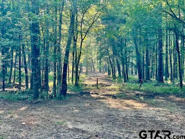 13050 Timber Creek Dr, Flint, TX 75762