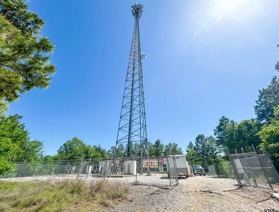 TBD CR 4814, Ben Wheeler, TX 75754 - #3