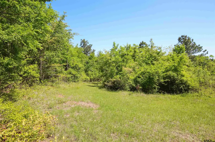 TBD CR 4814, Ben Wheeler, TX 75754 - Image #2