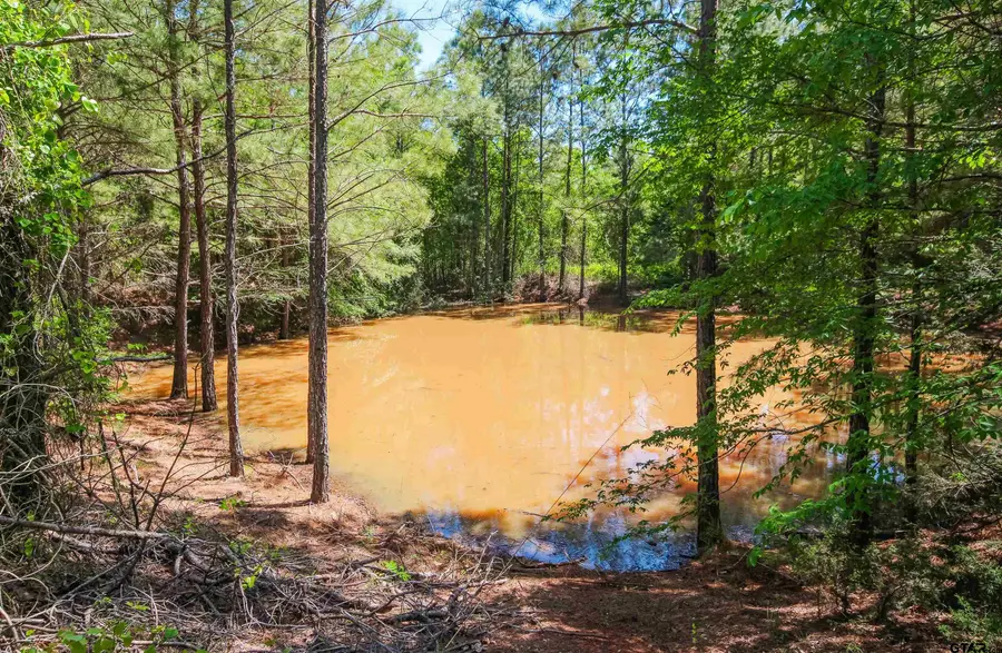 TBD CR 4814, Ben Wheeler, TX 75754 - Image #3