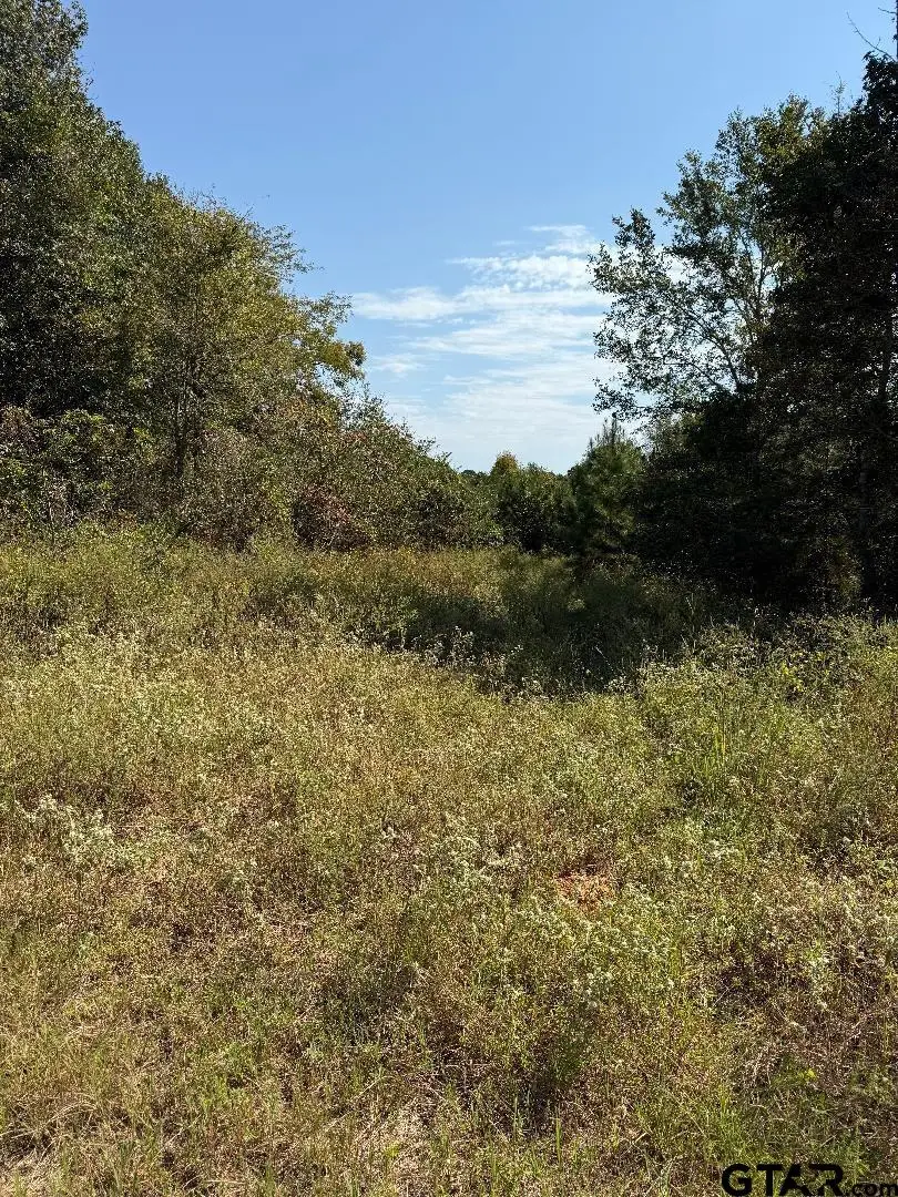 TBD CR 1305, Rusk, TX 75785 - #2