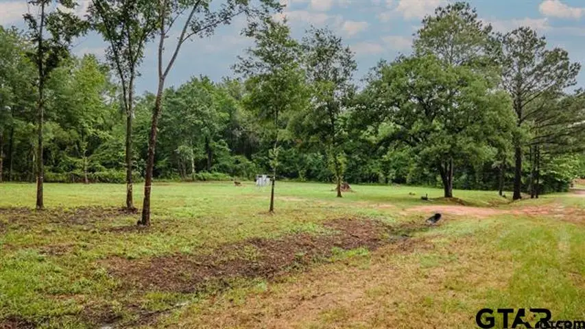 Lot 50 PR 7011, Frankston, TX 75763 - Image #3