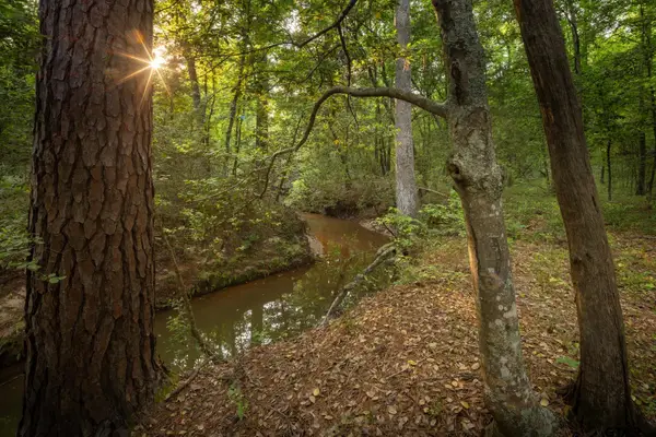 14221 Pine Overlook Dr, Flint, TX 75762