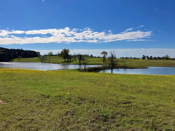 Lot 49 White Oak Creek Ranch, Big Sandy, TX 75755