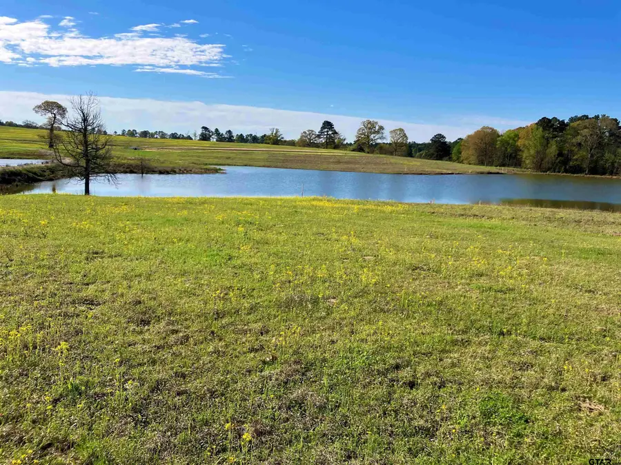 Lot 49 White Oak Creek Ranch, Big Sandy, TX 75755 - Image #2