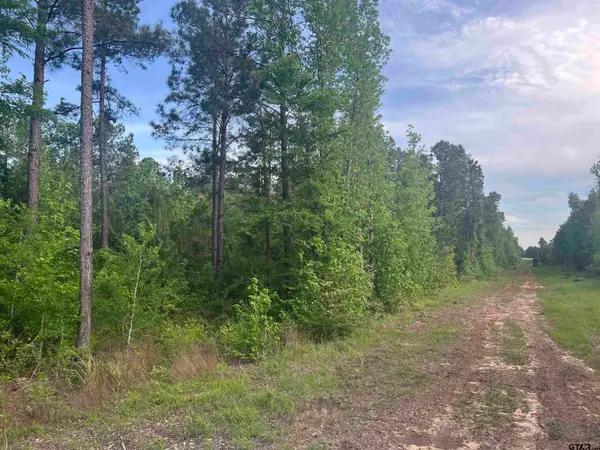 Tract 1 CR 477, Henderson, TX 75654