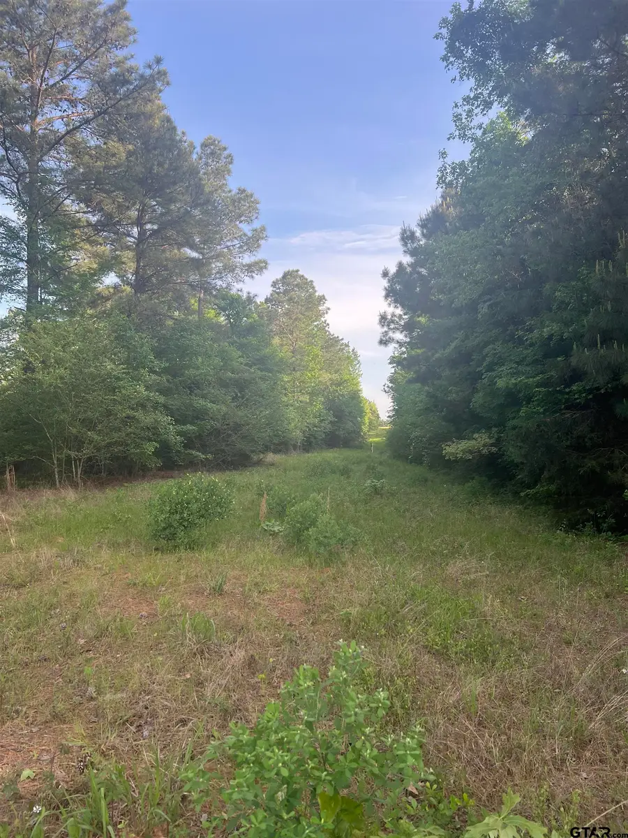 Tract 1 CR 477, Henderson, TX 75654 - Image #2