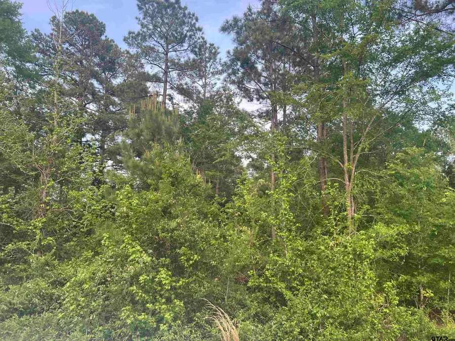 Tract 1 CR 477, Henderson, TX 75654 - Image #3