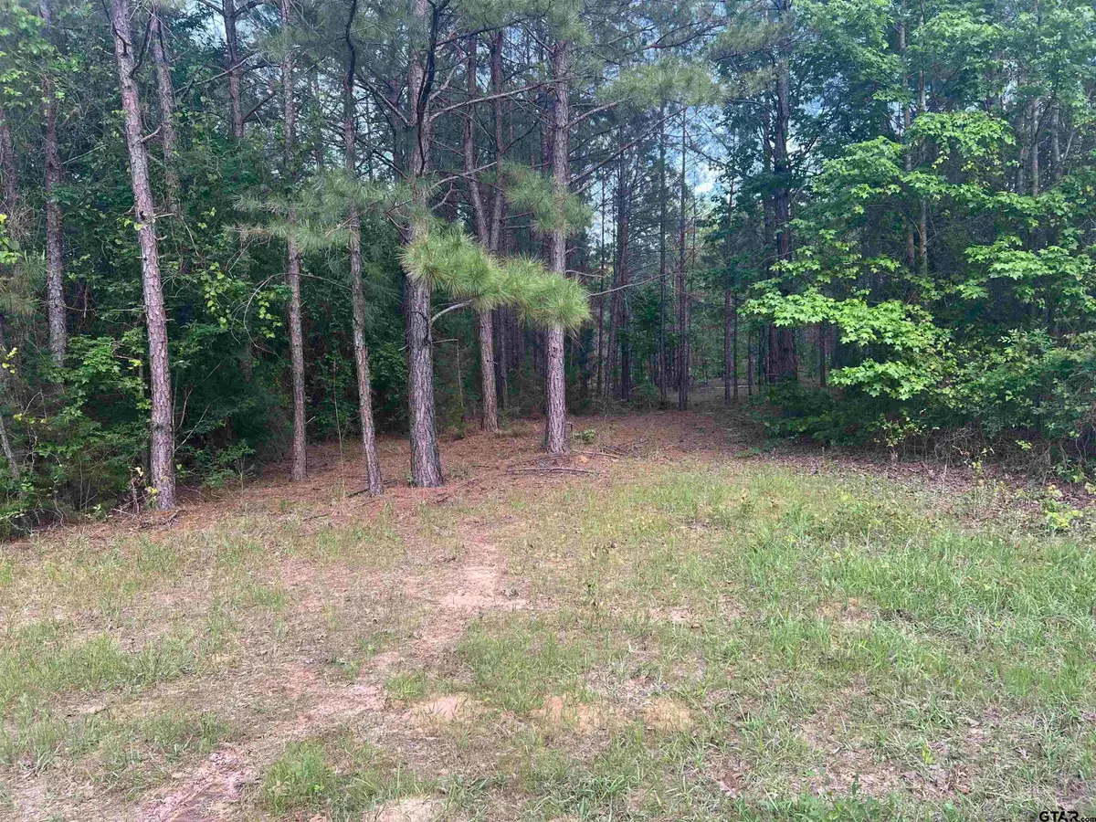 Tract 2 CR 477, Henderson, TX 75654 - Image #1