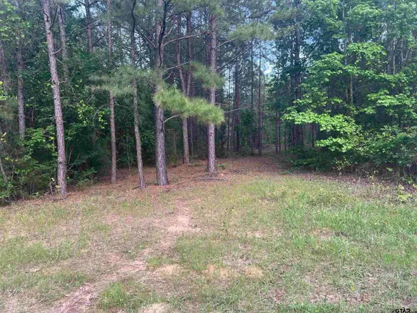 Tract 2 CR 477, Henderson, TX 75654