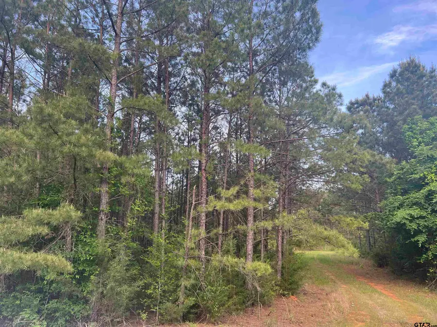 Tract 2 CR 477, Henderson, TX 75654 - Image #3